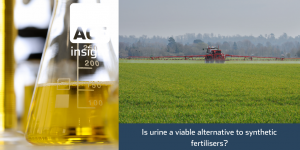 is urine a viable alternative to synthetic ferilisers