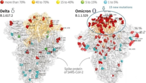 Spike Protein of SARS-CoV-2 - difference between Delta and Omicron variant
