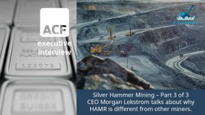 Silver Hammer investment case