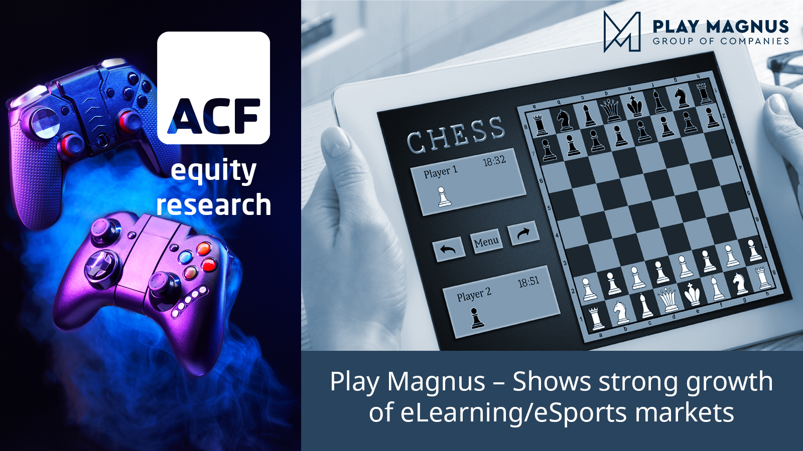 play magnus investment case