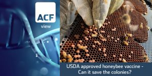 USDA approved honeybee vaccine-can it save the colonies
