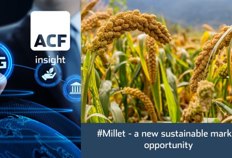 Climate change and the [re]emergence of millet
