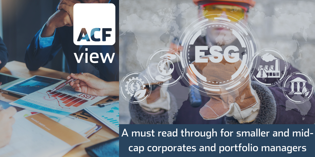 esg for small and mid caps