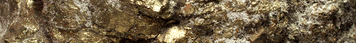 pgm miners- eurasia mining