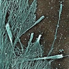 Old drugs plus SARS equals new INDs and M&A pressure wave