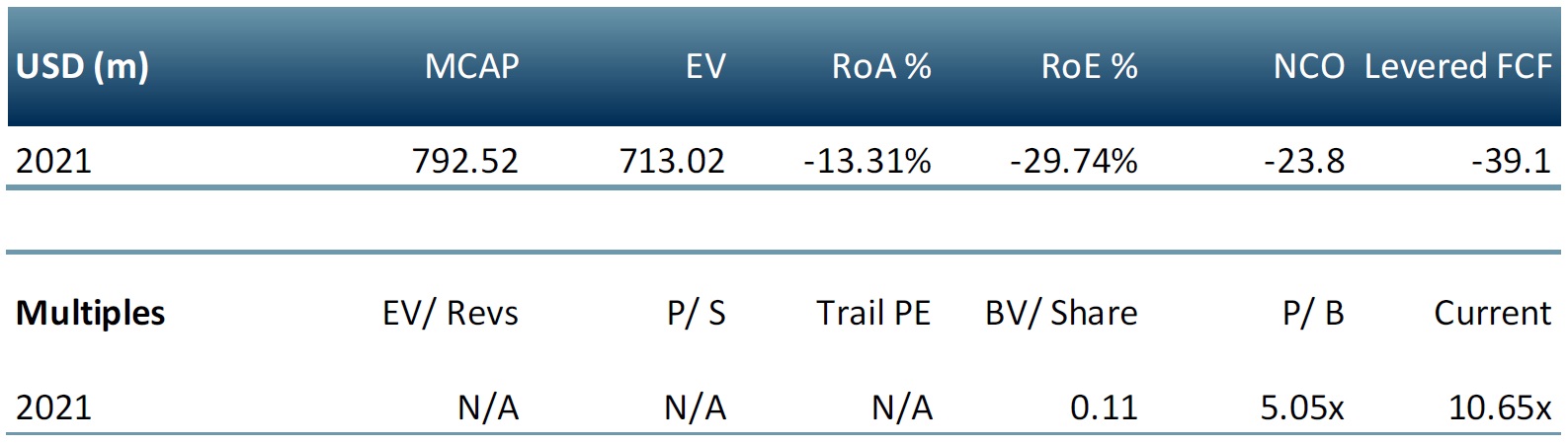 piedmont lithium multiples table