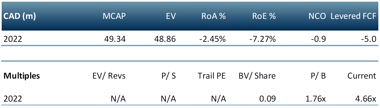 gold spring resources multiples table