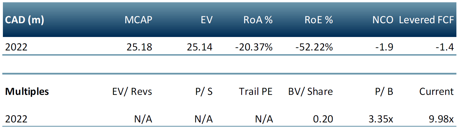 Silver Hammer Mining multiples table