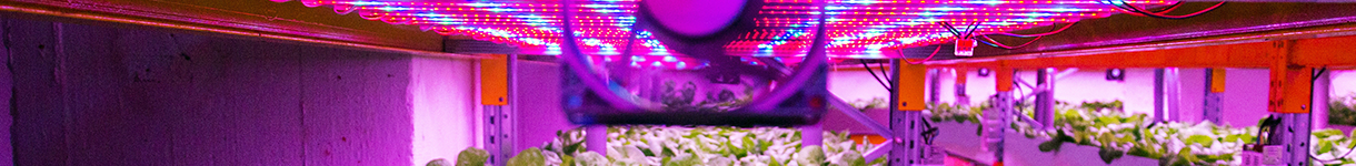 light science technology