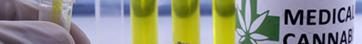 cannabis market overview