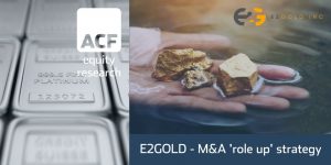 e2gold investment case