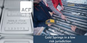 gold springs investment case