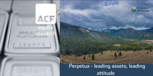perpetua reseources investment case