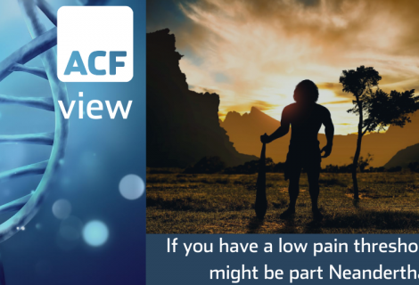 Researchers say that our pain threshold can be linked to Neanderthal DNA Researchers say that our pain threshold can be linked to Neanderthal DNA