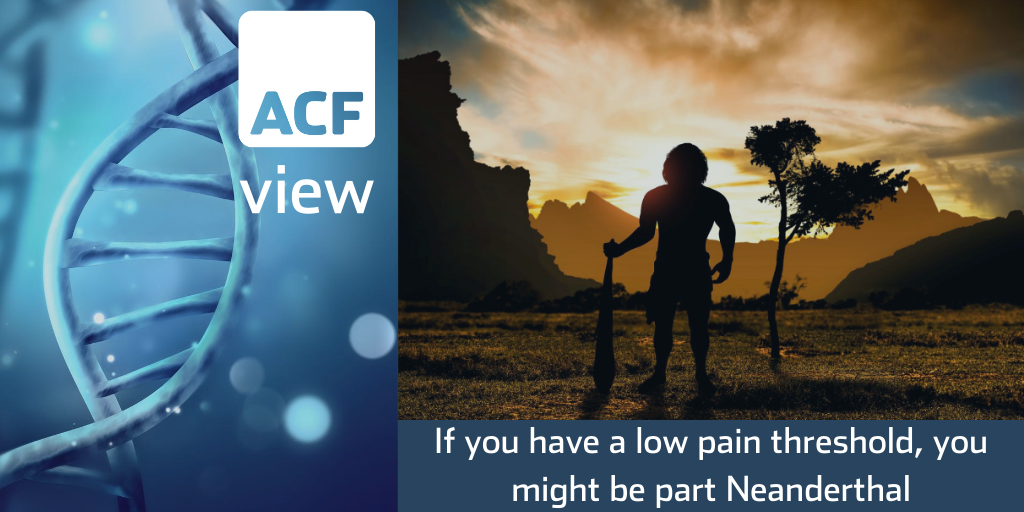 Researchers say that our pain threshold can be linked to Neanderthal DNA Researchers say that our pain threshold can be linked to Neanderthal DNA