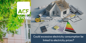 Could excessive electricity consumption be linked to electricity prices