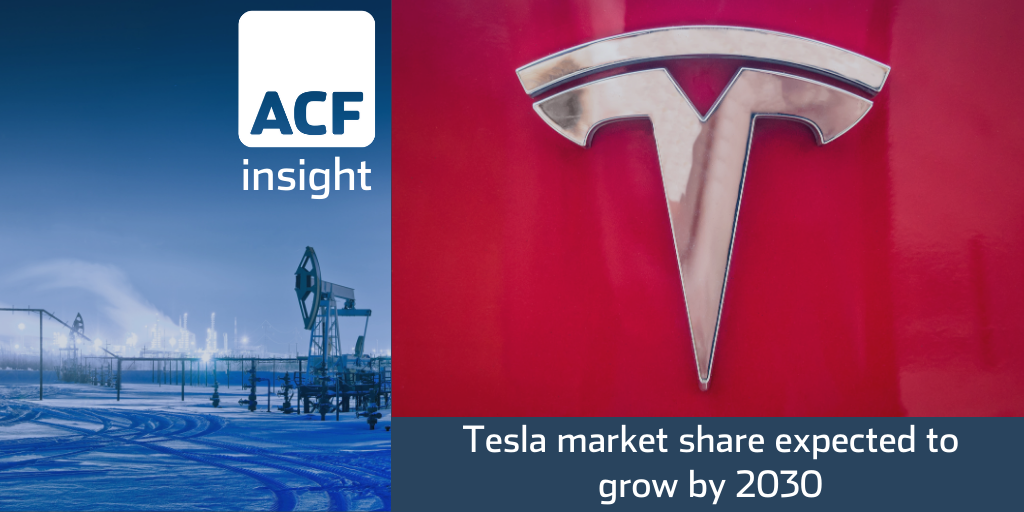 Tesla market share expected to grow by 2030