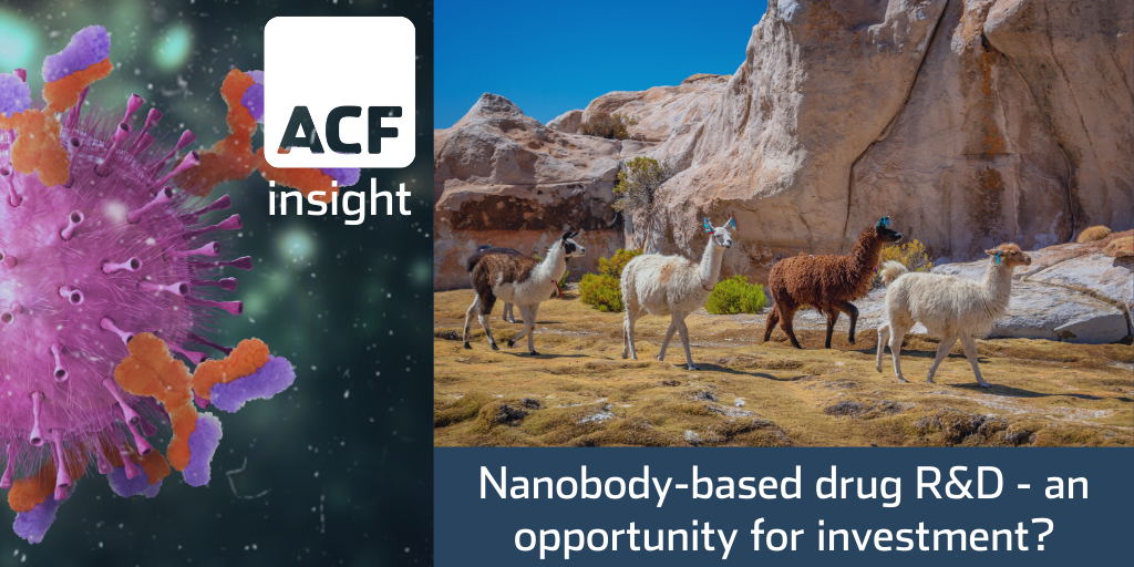 Camelids’ nanobody-based drug promises