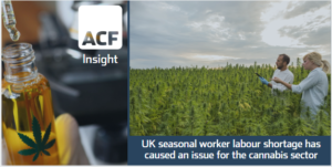 UK seasonal worker labour shortage has caused an issue for the cannabis sector