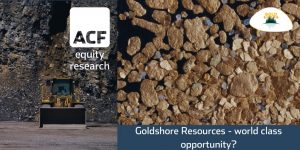 goldshore resources investment case