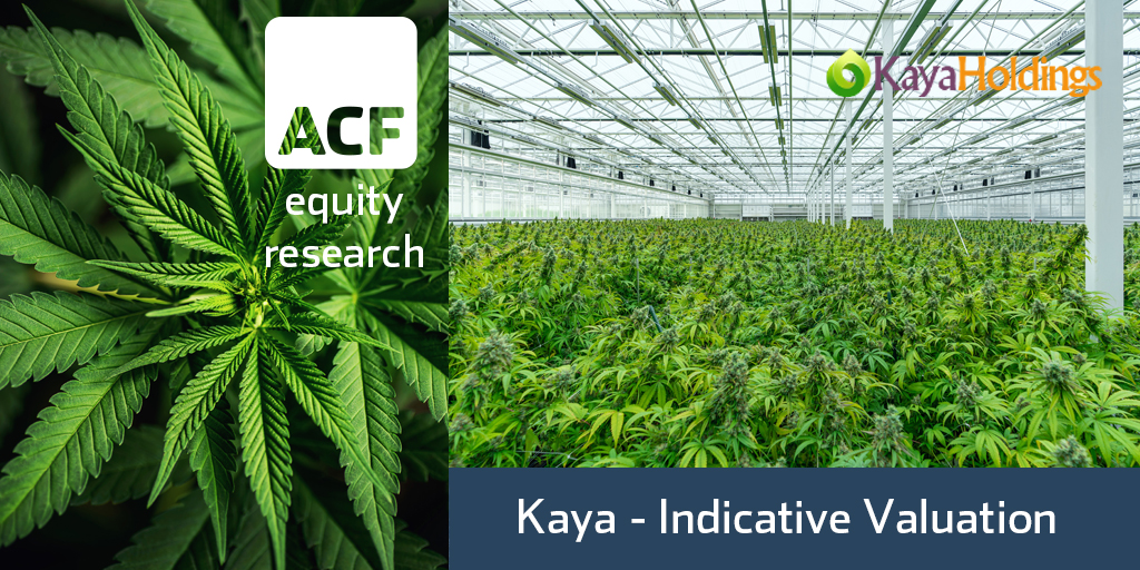 Kaya Holding investment research