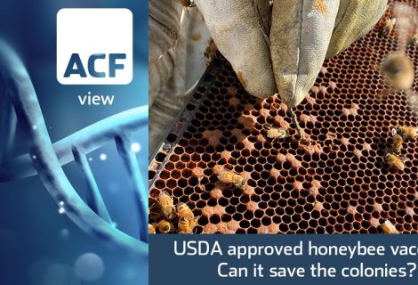 Honeybees vaccine Honeybees vaccine