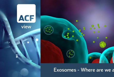 Exosomes: Stand-alone therapy or complement?